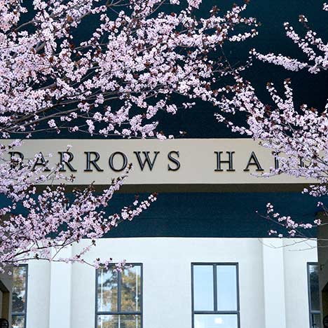 Cherry blossoms at Barrows Hall.  Photo by Keegan Houser.